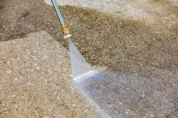 Best Driveway Pressure Washing  in Whitesboro, NJ